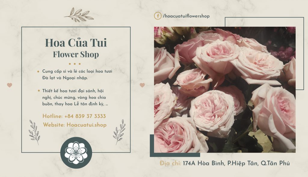 Shop hoa tươi trực tuyến - Hoacuatui.shop