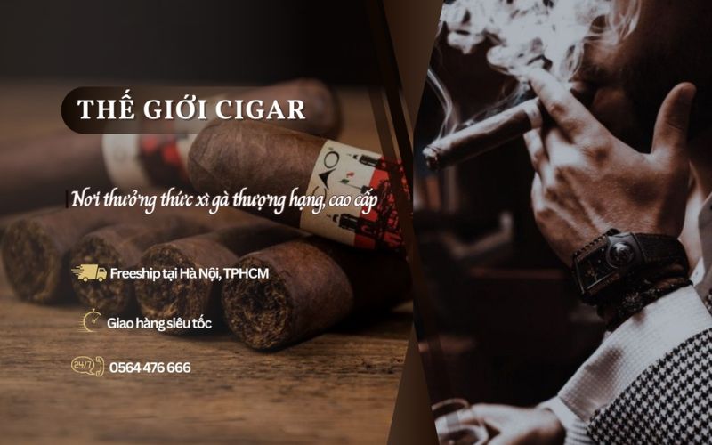 Thế giới cigar shop xì gà uy tín